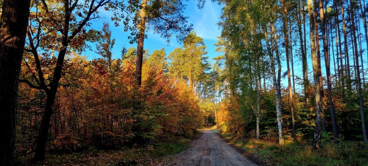 Domek Triftberg Chojna Екстериор снимка